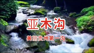 隐藏的金色星星
